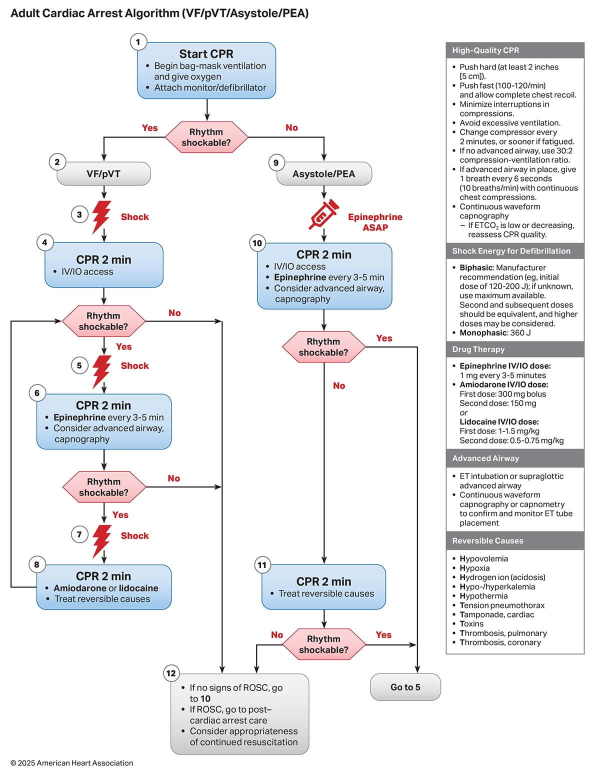 AHA 蘇生ガイドライン2025が公表されました | 急変対応.net